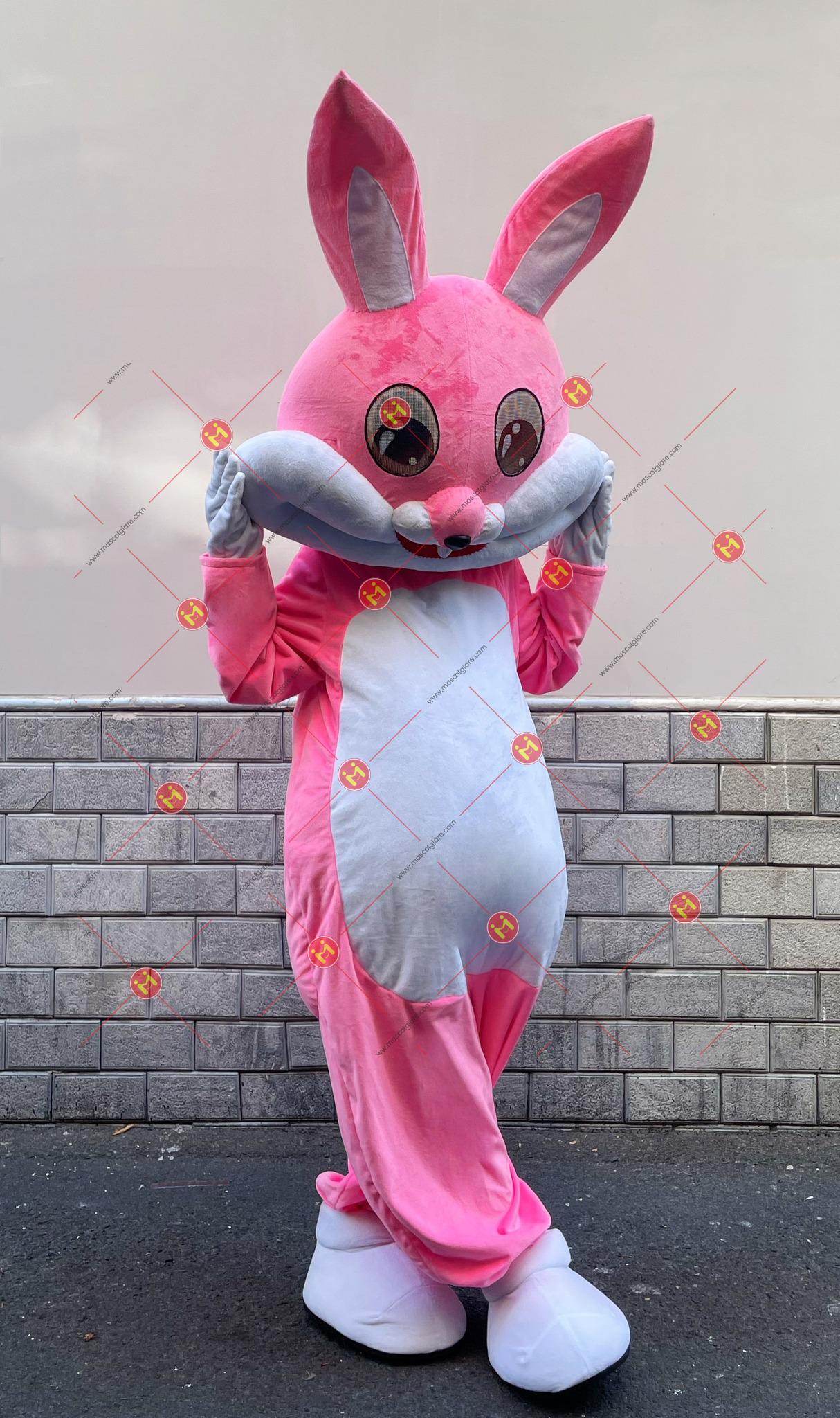 440303973_3701935200049550_3772492405000031880_n 440303973 3701935200049550 3772492405000031880 n