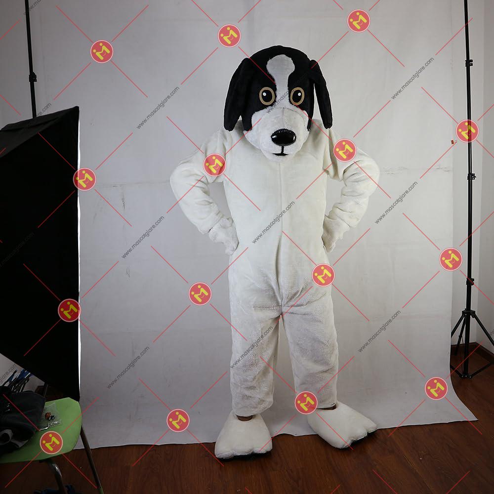 91mljNSiBHL._AC_UY1000_.jpg 91mljNSiBHL. AC UY1000