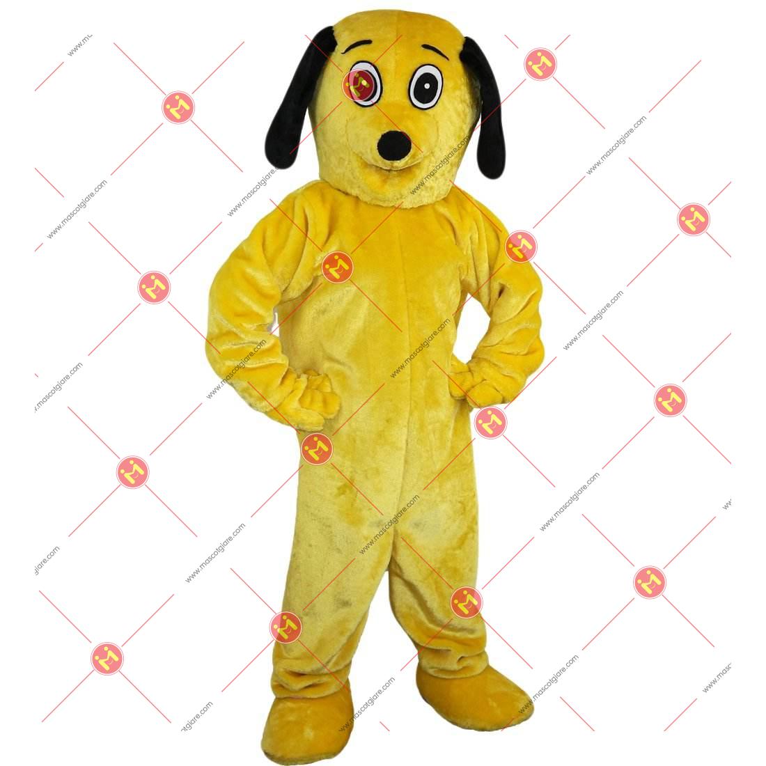 Hf12b70c696924fee9d1bf03745fcab47D.jpg Hf12b70c696924fee9d1bf03745fcab47D