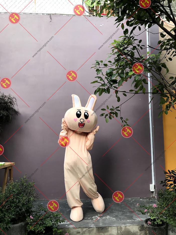 mascot thỏ trắng