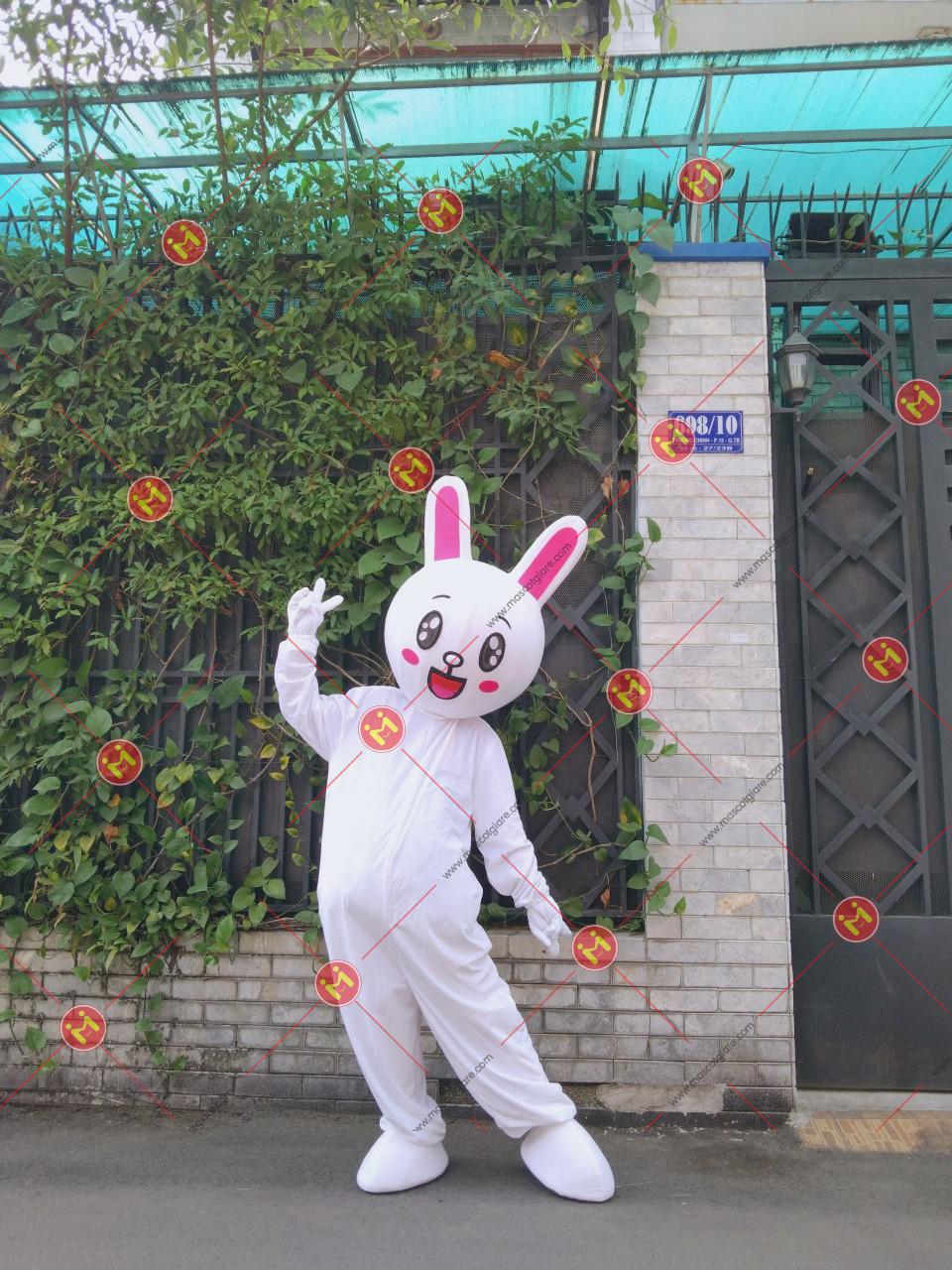 tho-trang-3.jpg tho trang 3