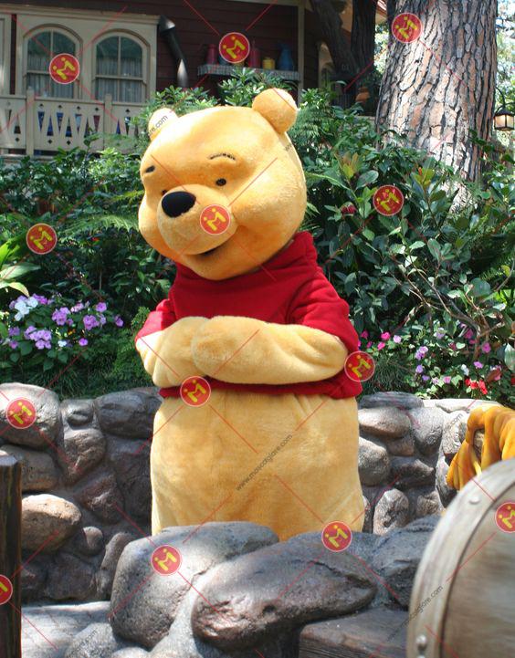 mascot chú gấu Pooh