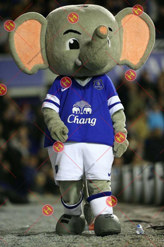 mascot con voi