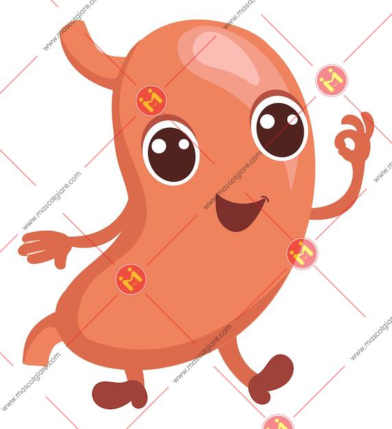 mascot mo hinh da day HKLy