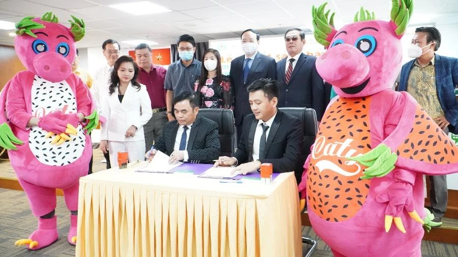 mascot qua thanh long HIfQ