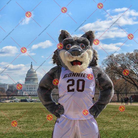 mascot sói xám