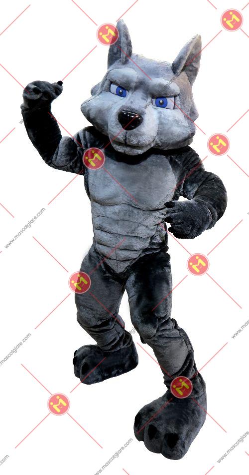 mascot sói xám