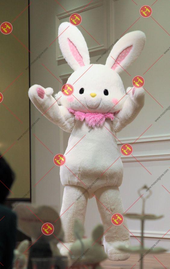 mascot thỏ xinh