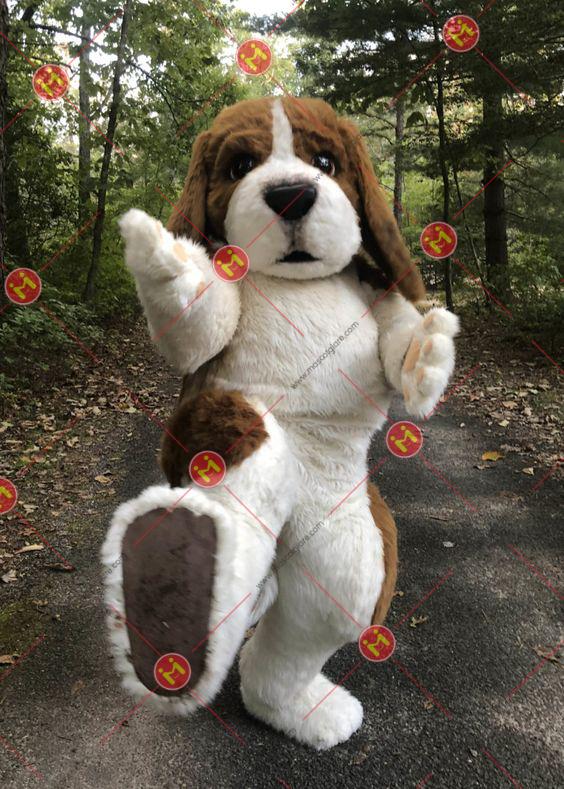 mascot chó đẹp