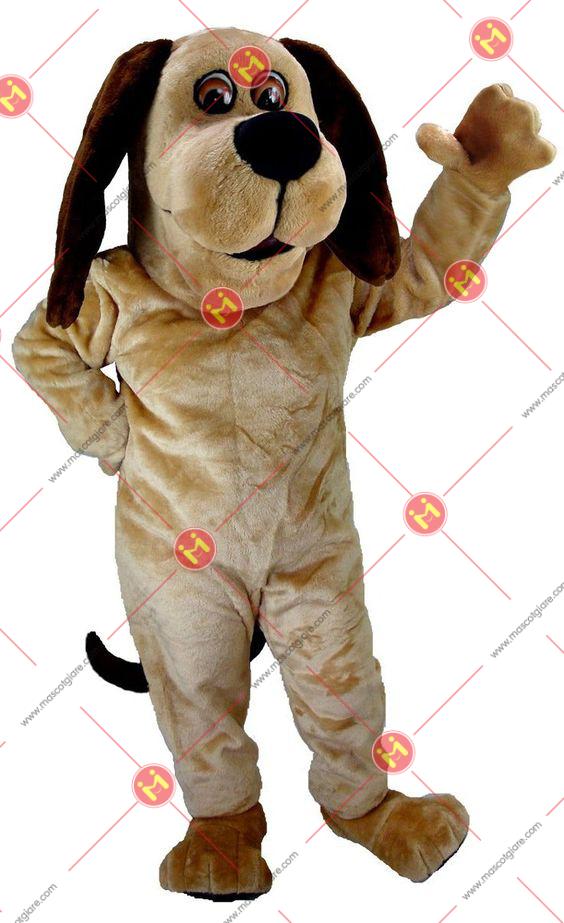mascot chó đẹp
