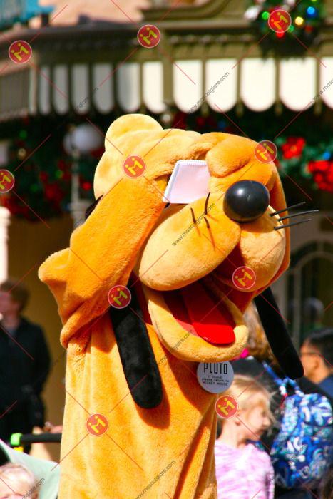 mascot chó vàng