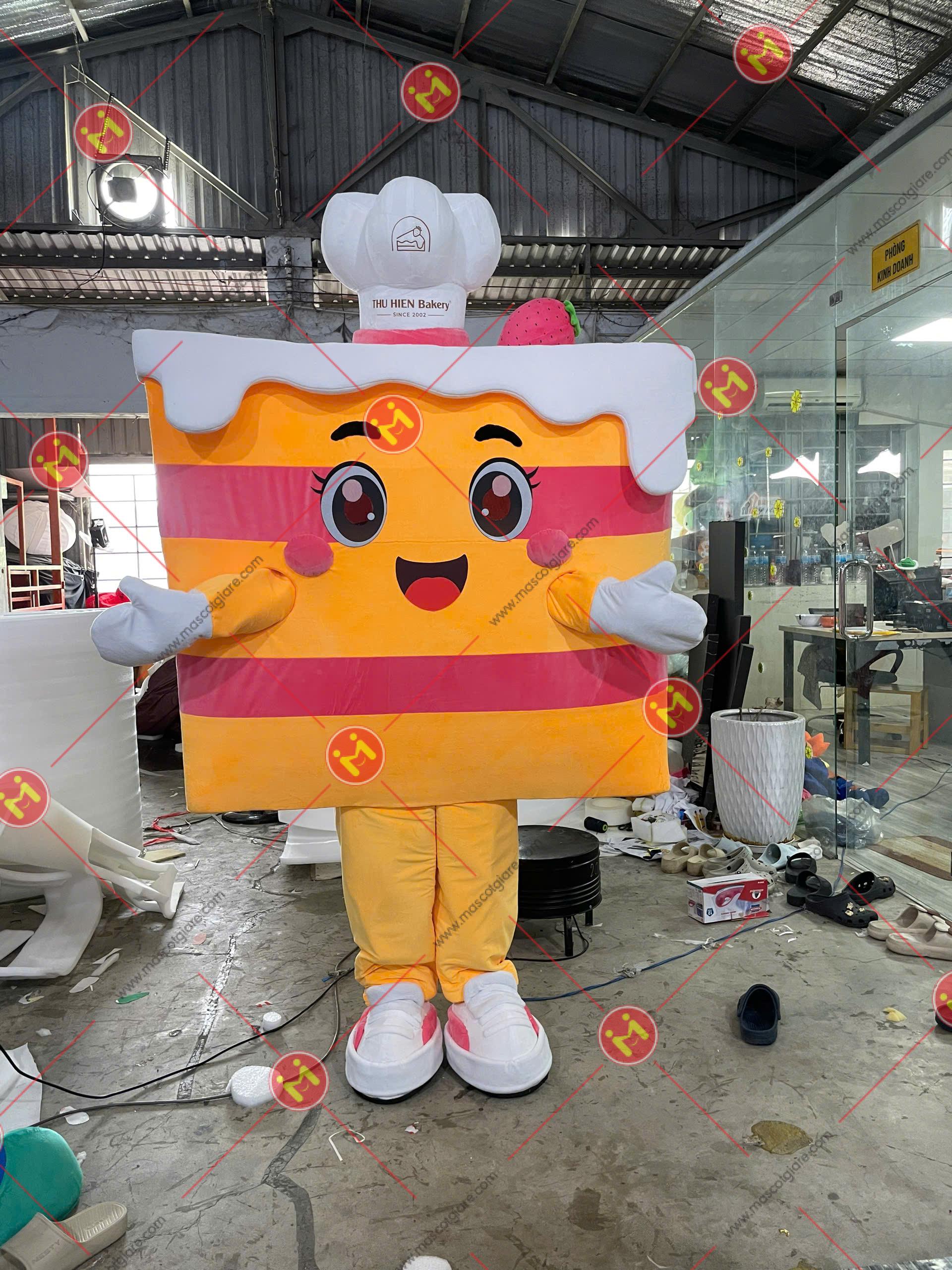 Mặt Trước