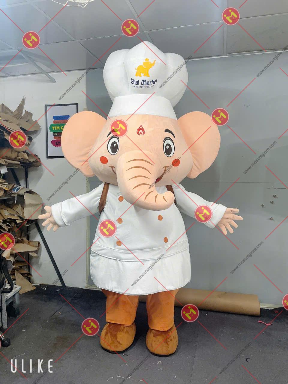 Mascot Voi Thái 1 Mặt Trước
