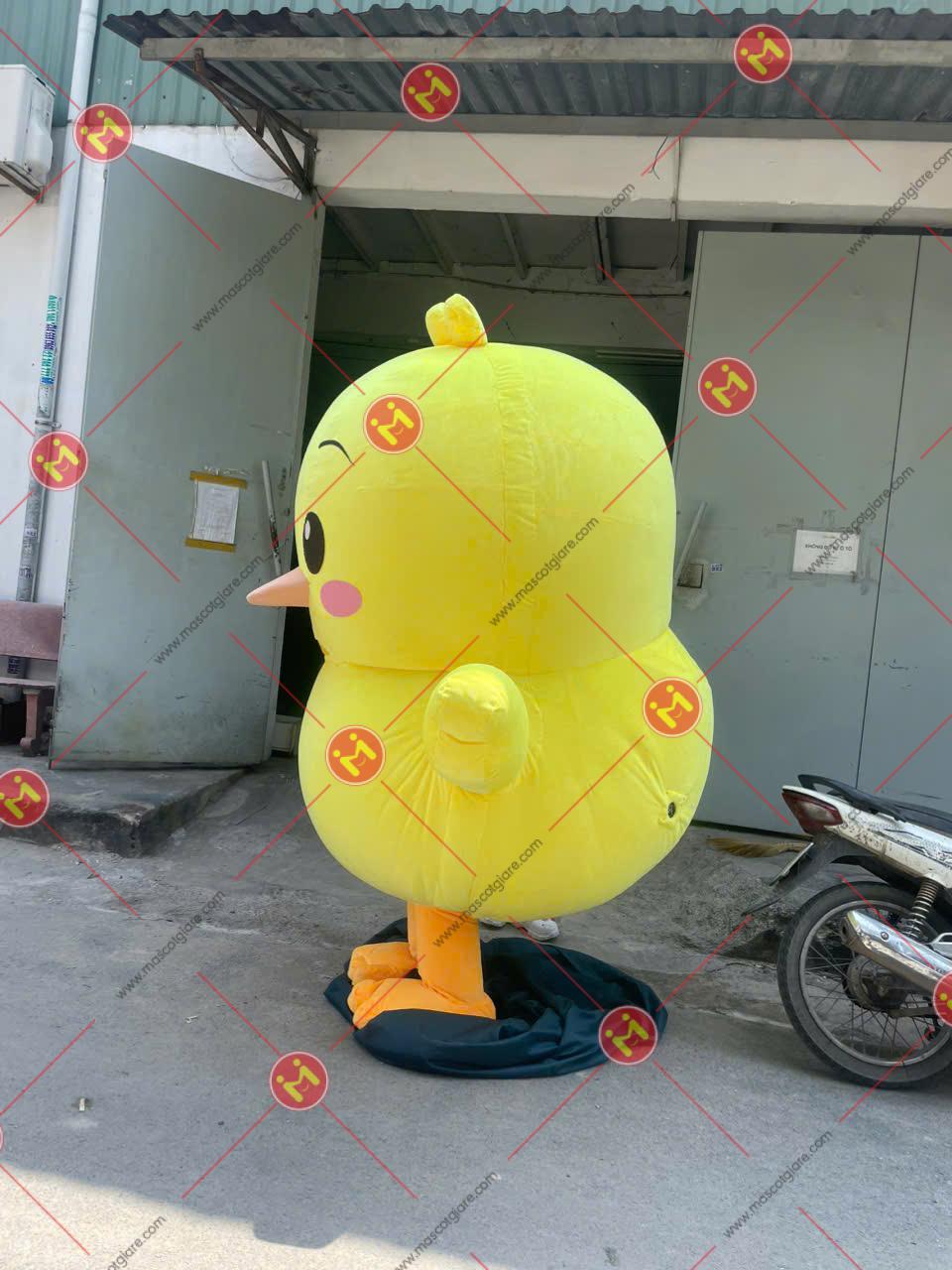 MASCOT GÀ CON DỄ THƯƠNG 2 1792551569367 422436009245611682 3125888137437381919 2739dd86bd8730660e4a7bd36fa0e017